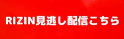RIZIN見逃し