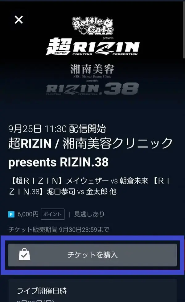 U-NEXT rizin38 見逃し配信