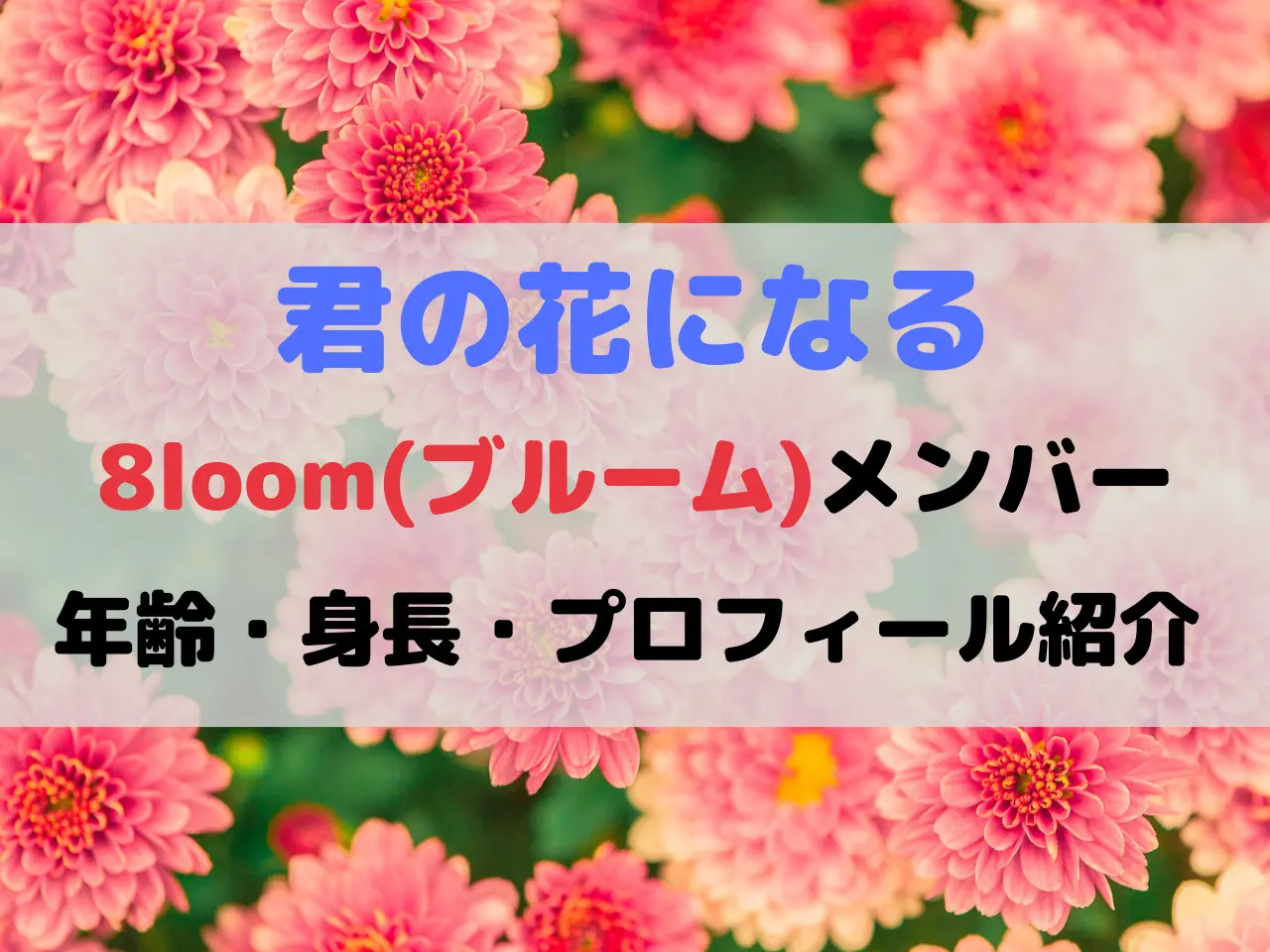 8loom ブルーム メンバープロフィール