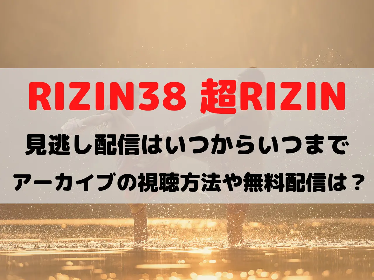 rizin38 超rizin(スーパーライジン) 見逃し