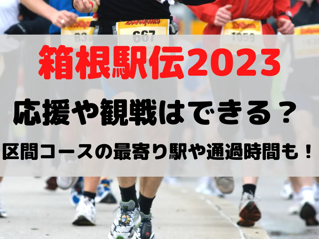 箱根駅伝 2023 応援 観戦