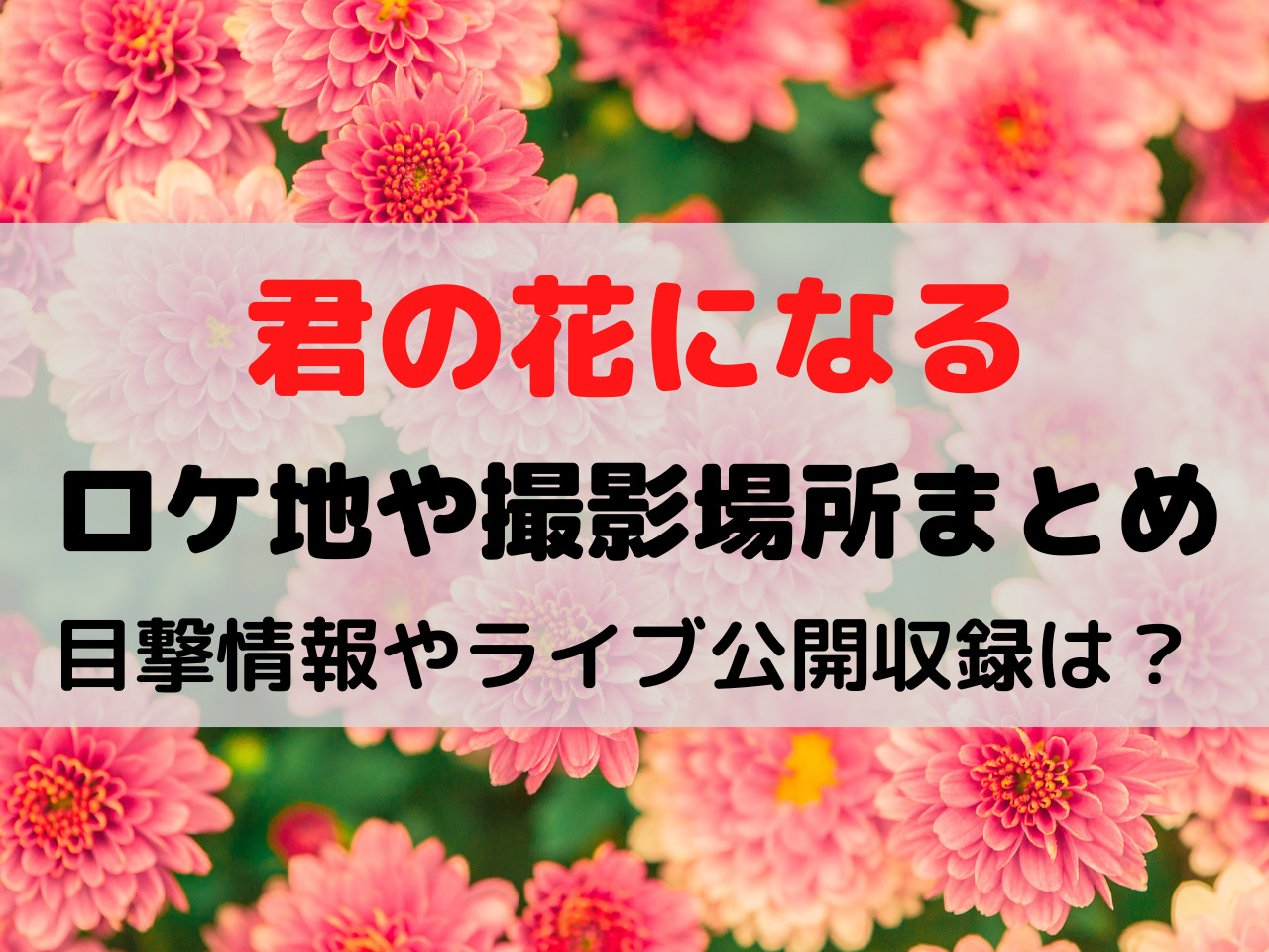 君の花になる ロケ地 撮影場所