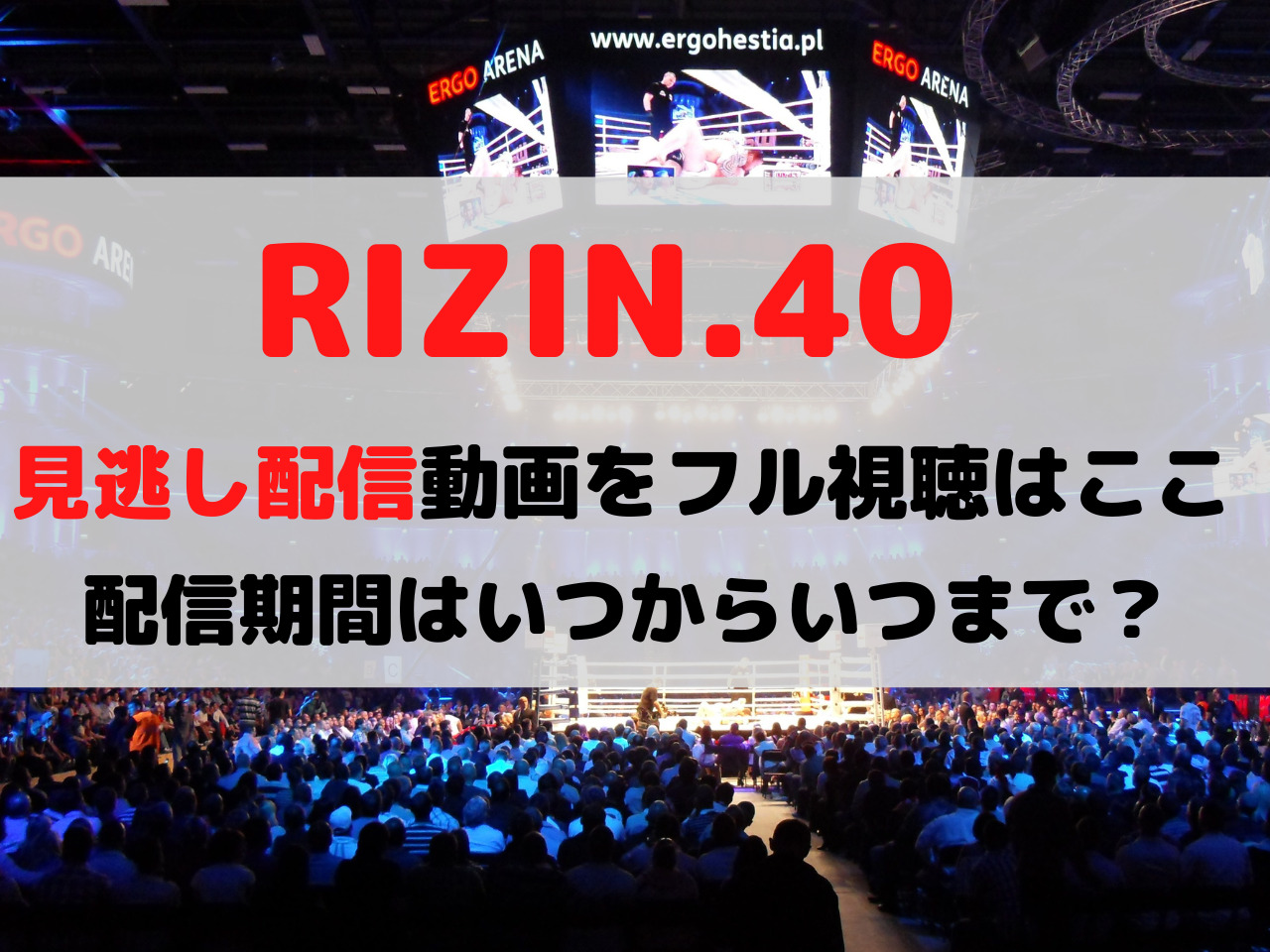 RIZIN 大晦日 見逃し配信