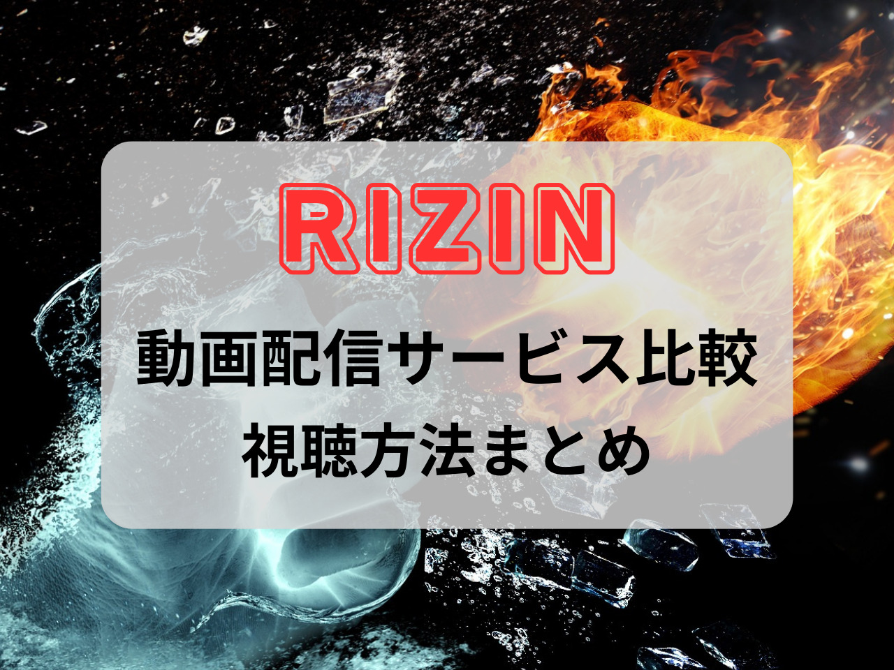 rizin PPV 視聴方法