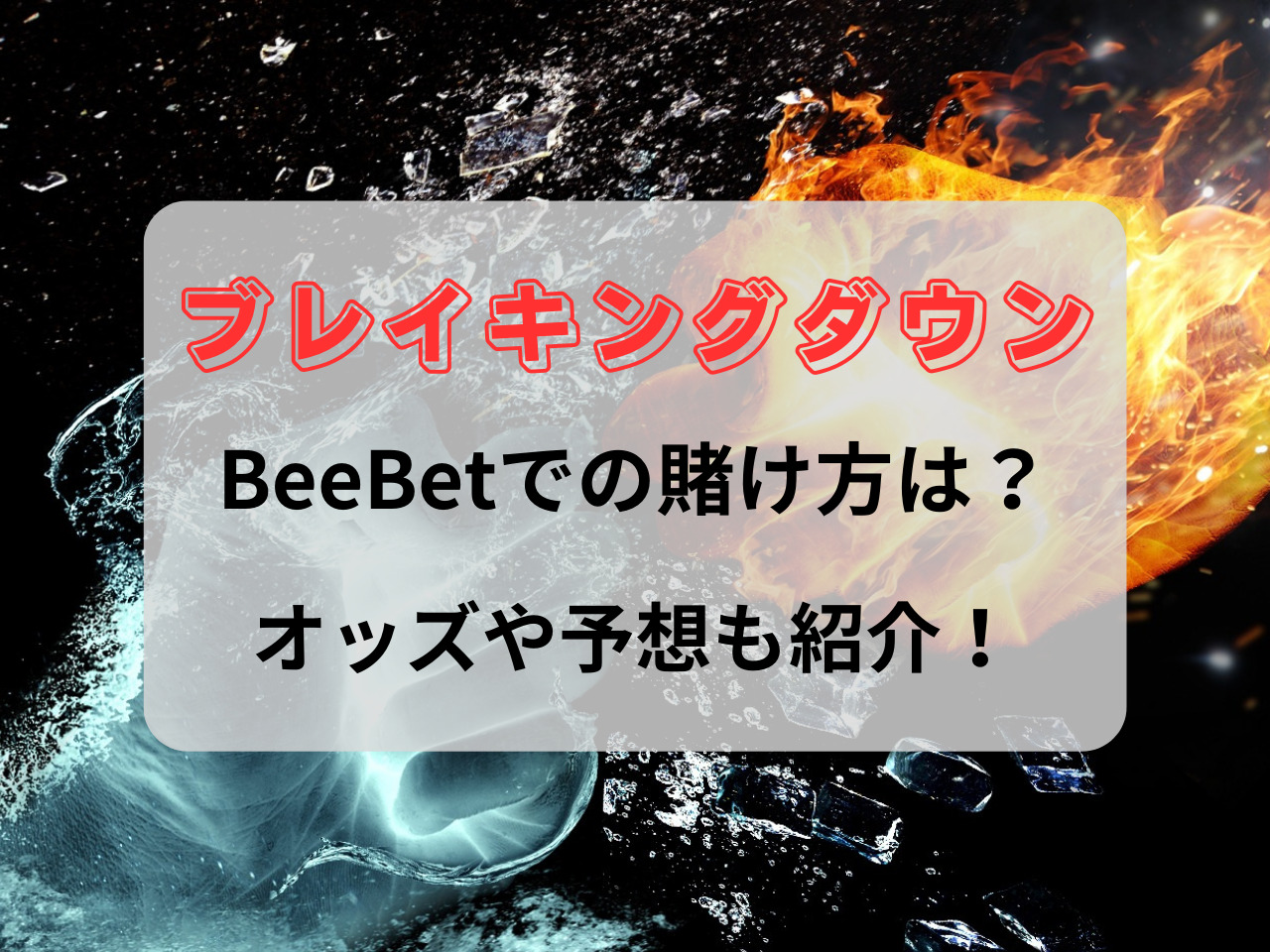 BeeBet ブレイキングダウン 賭け方